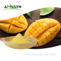 Порошок растворимого напитка Mango Fruit Powder